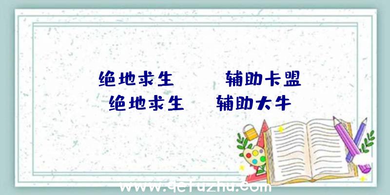 「绝地求生steam辅助卡盟」|绝地求生sng辅助大牛